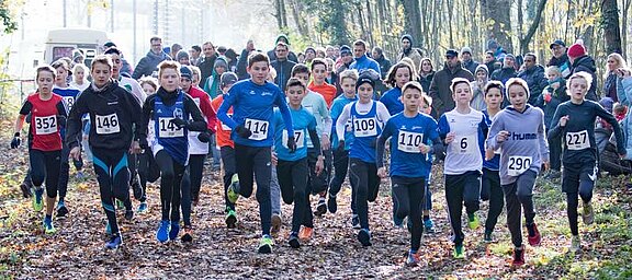 RNK-Waldlauf-2016-1.jpg 